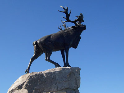 Newfoundland Memorial Park